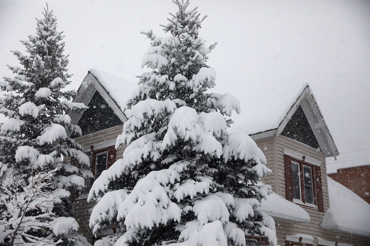 Snow